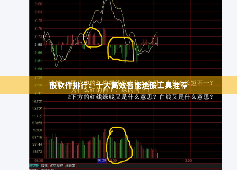 股软件排行:十大高效智能选股工具推荐