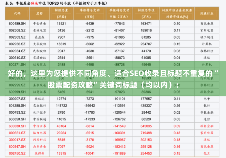 好的，这里为您提供不同角度、适合SEO收录且标题不重复的“股票配资攻略”关键词标题（均以内）：