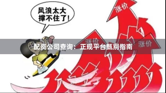 配资公司查询：正规平台甄别指南