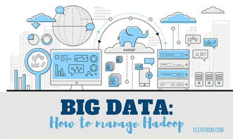 数据赋能医疗 Hadoop大数据如何重塑患者护理与数据交易服务